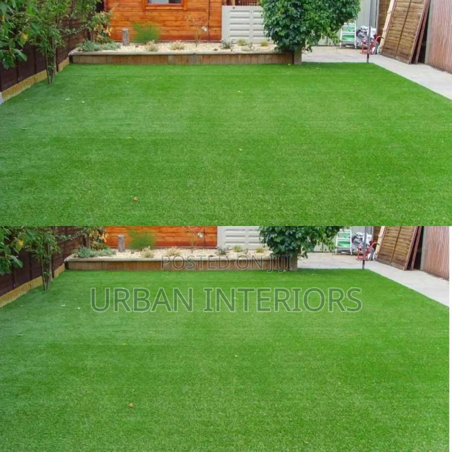 Grass Carpet Grass Carpet Grass Carpet Grass Carpet