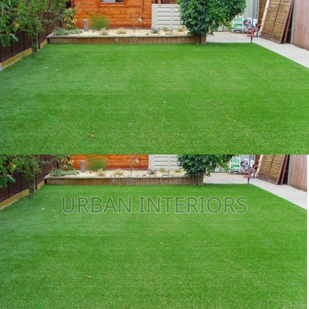 Grass Carpet Grass Carpet Grass Carpet Grass Carpet - main view