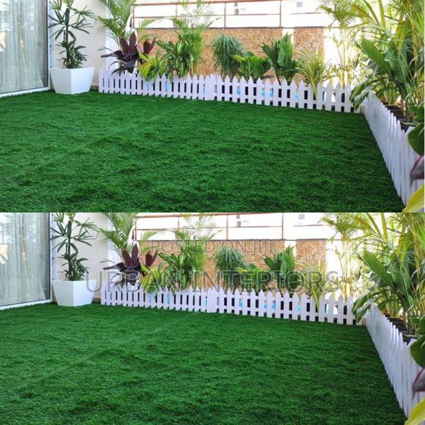 Grass Carpet Grass Carpet Grass Carpet Grass Carpet - main view