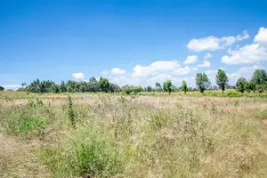 Prime Gated Community Plots in Kikuyu, Kamangu.