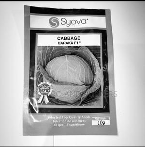 Cabbage Baraka F1 Seeds - main view