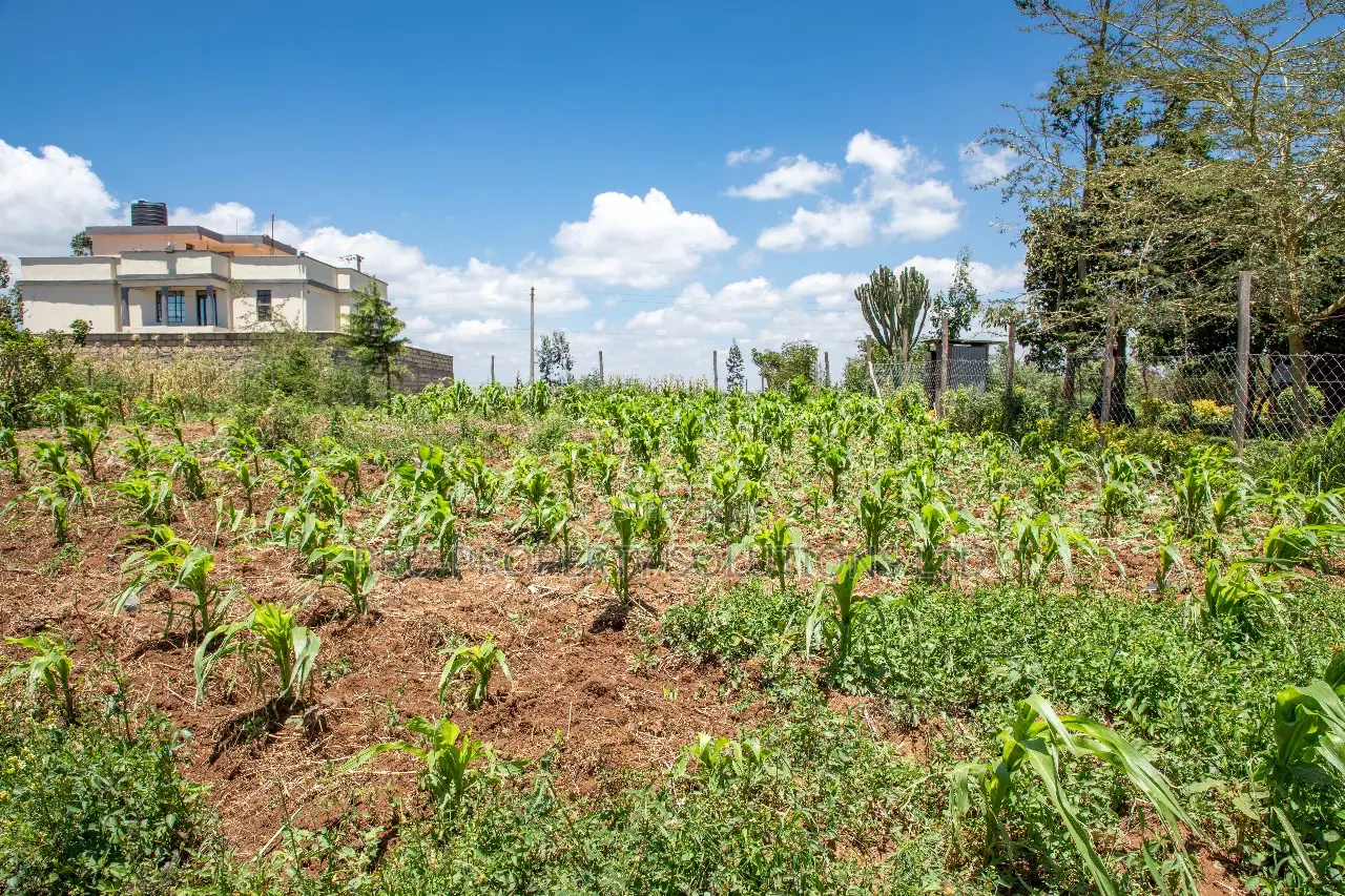 Prime Residential Plots in Kikuyu, Kamangu for Sale 