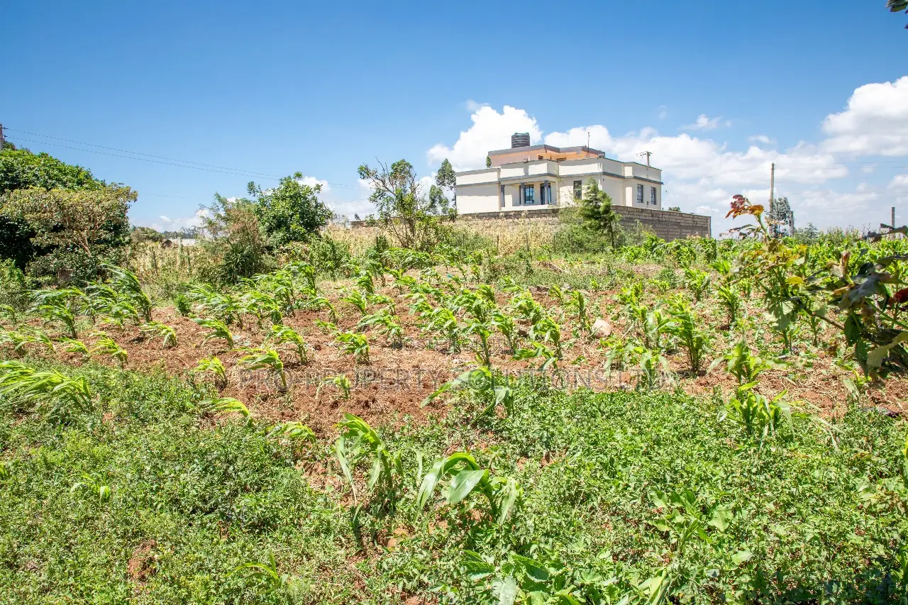 Prime Residential Plots in Kikuyu, Kamangu for Sale 