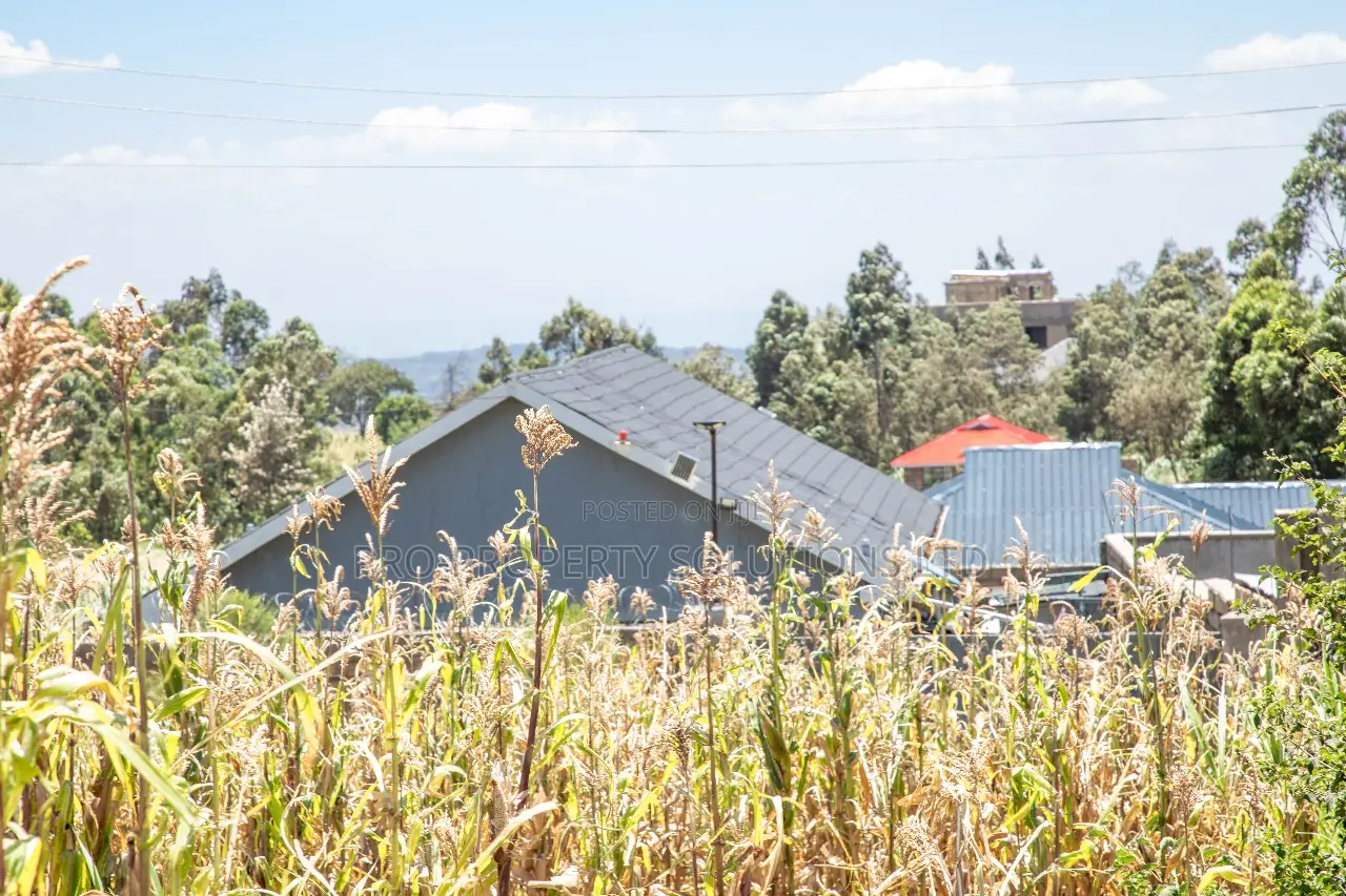 Prime Residential Plots in Kikuyu, Kamangu for Sale 