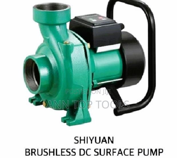 Shiyuan Brushless Dc Surface 2" Pump 48v 1200w + Controller