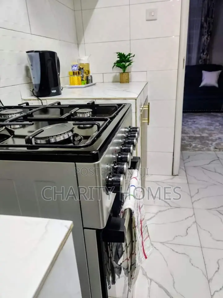 Furnished One Bedroom South B