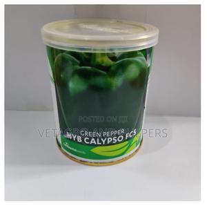 Continental Green Pepper HYB Calypso FCS (Pilipili Hoho)