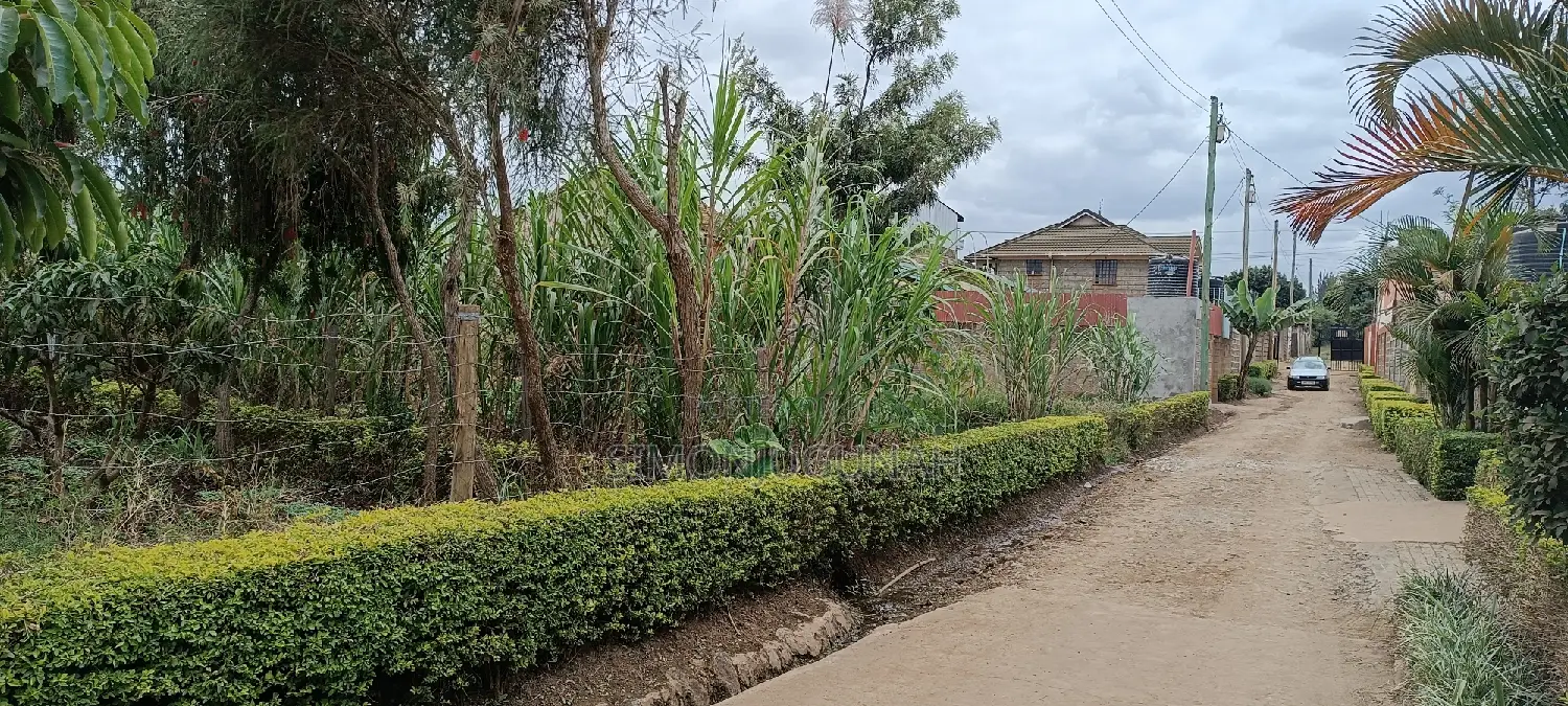 Plot for Sale