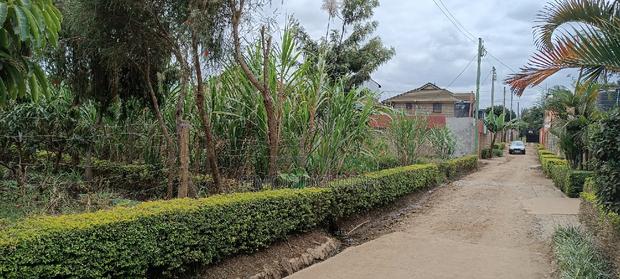 Plot for Sale - thumbnail 3