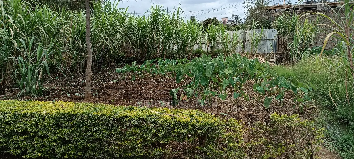 Plot for Sale