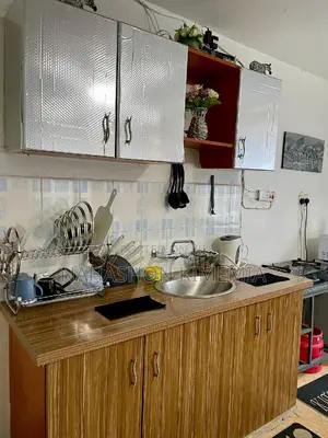 Dalmatian Airbnb Studio at TRM Drive Roysambu Thika Road