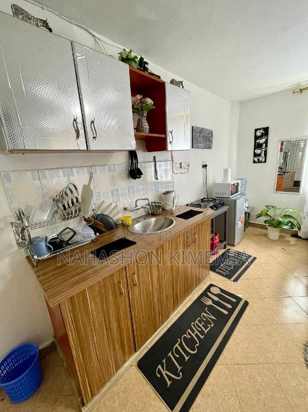 Dalmatian Airbnb Studio at TRM Drive Roysambu Thika Road - thumbnail 2