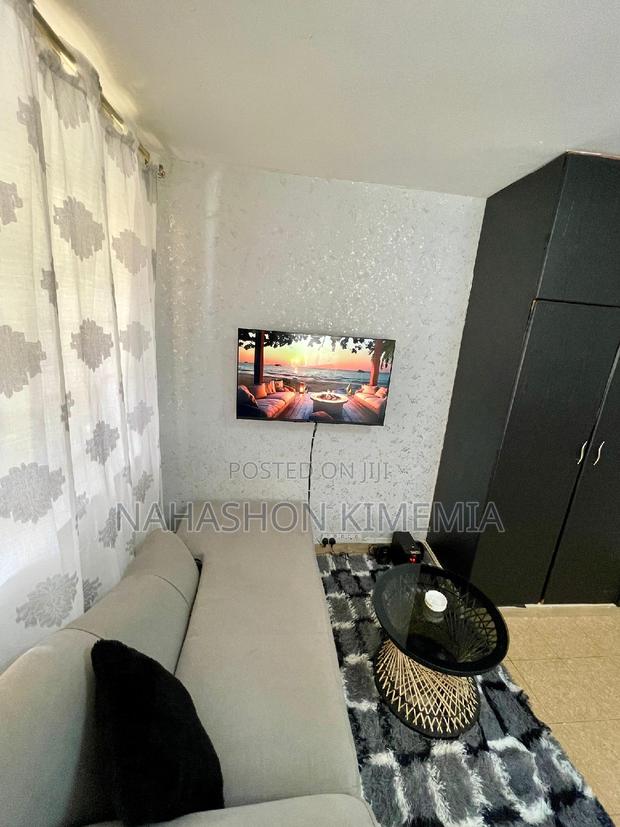 Dalmatian Airbnb Studio at TRM Drive Roysambu Thika Road - thumbnail 8