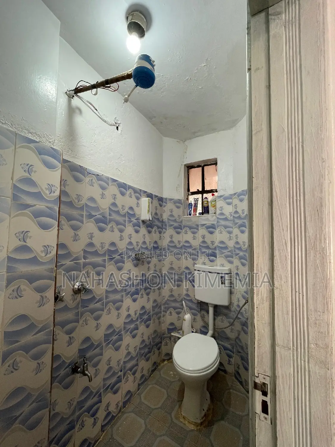 Dalmatian Airbnb Studio at TRM Drive Roysambu Thika Road