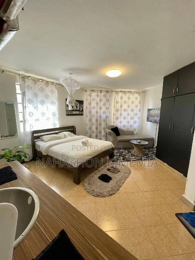 Dalmatian Airbnb Studio at TRM Drive Roysambu Thika Road - thumbnail 5