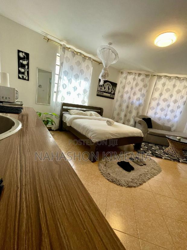 Dalmatian Airbnb Studio at TRM Drive Roysambu Thika Road - main view