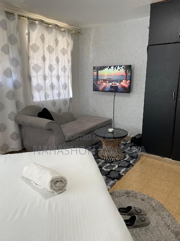 Dalmatian Airbnb Studio at TRM Drive Roysambu Thika Road - thumbnail 11