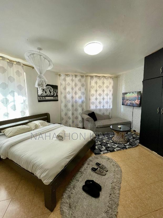 Dalmatian Airbnb Studio at TRM Drive Roysambu Thika Road - thumbnail 7