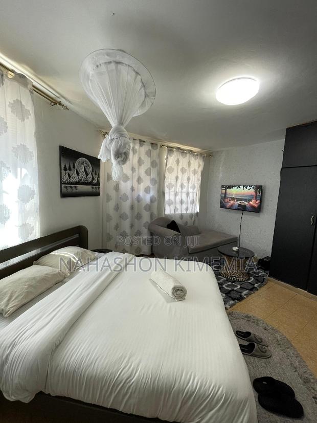 Dalmatian Airbnb Studio at TRM Drive Roysambu Thika Road - thumbnail 13