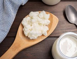 Kefir Milk and Grains - thumbnail 2