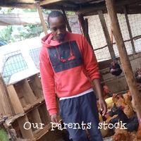 Mugumo ini poultry farm logo