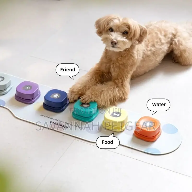 Recordable Talking Dog Buttons for Communication Pet Trainer