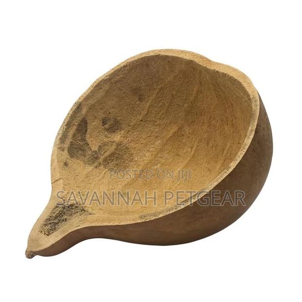Half Porridge Calabash Bowl - Organic - main view