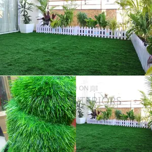 Grass Carpet Grass Carpet Grass Carpet Grass Carpet