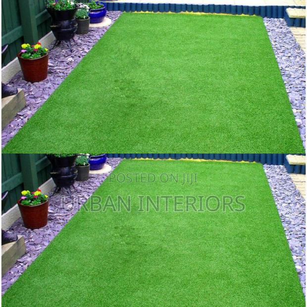 Grass Carpet Grass Carpet Grass Carpet Grass Carpet - main view