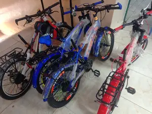 Classy Size 16 Bicycle.