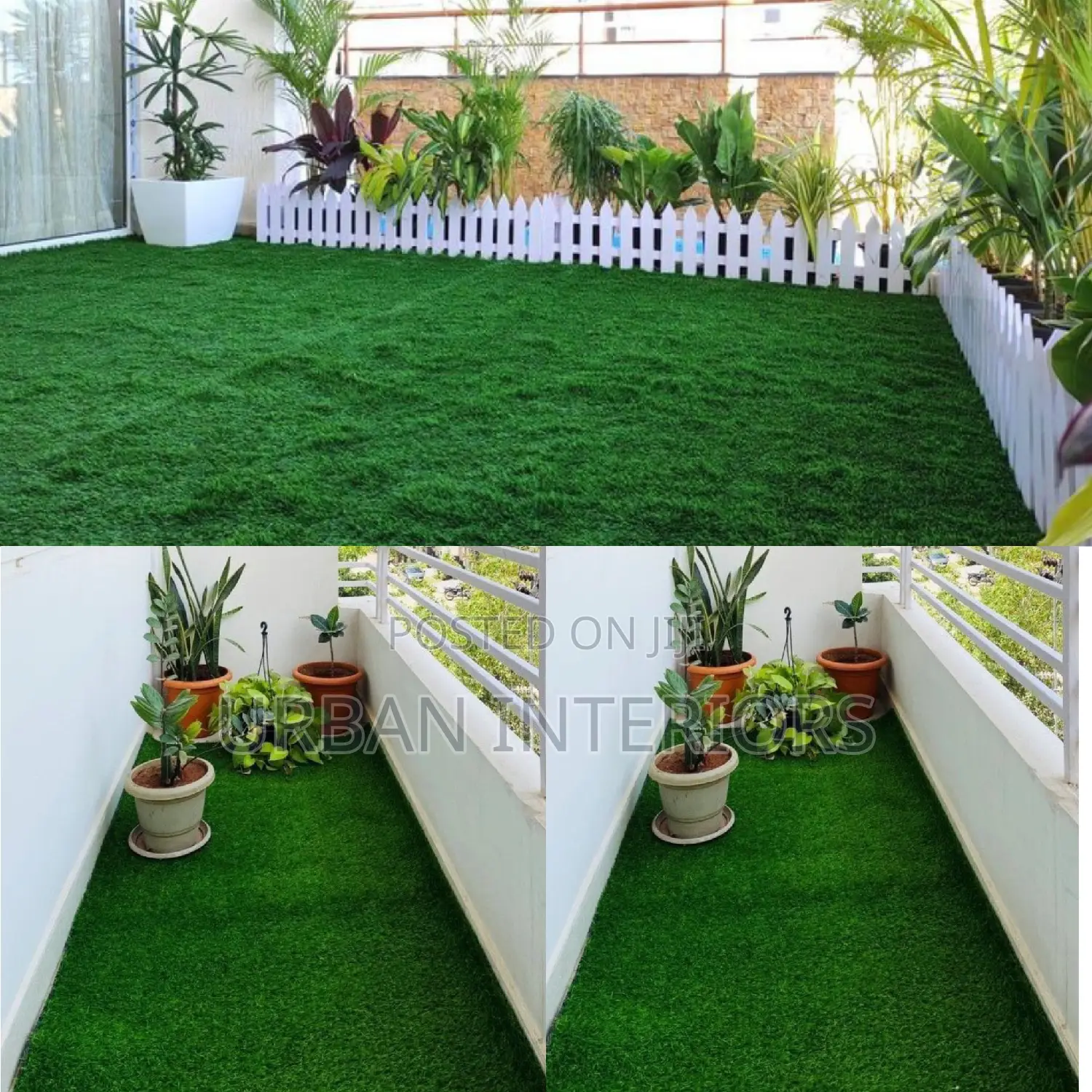 Grass Carpet Grass Carpet Grass Carpet Grass Carpet