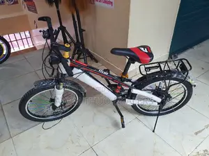 Size 20 Bike Heavey Mountain Bike / Bicycle 