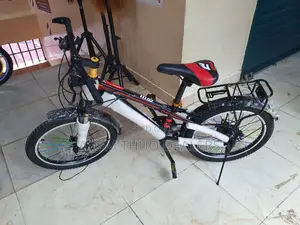 Size 20 Bike Heavey Mountain Bike / Bicycle 
