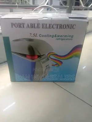 Fridge Mini Portable 12v Warmer Refrigerator