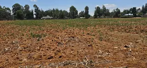 5 Acres for Sale in Kapseret Lobo Bypass in Eldoret