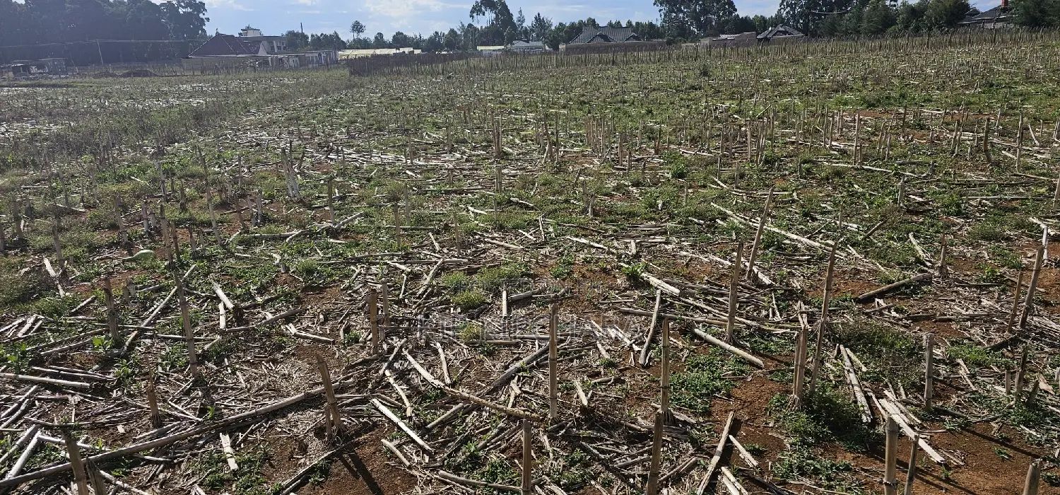Prime Plots for Sale Eldoret Opposite New MTRH in Kiplombe