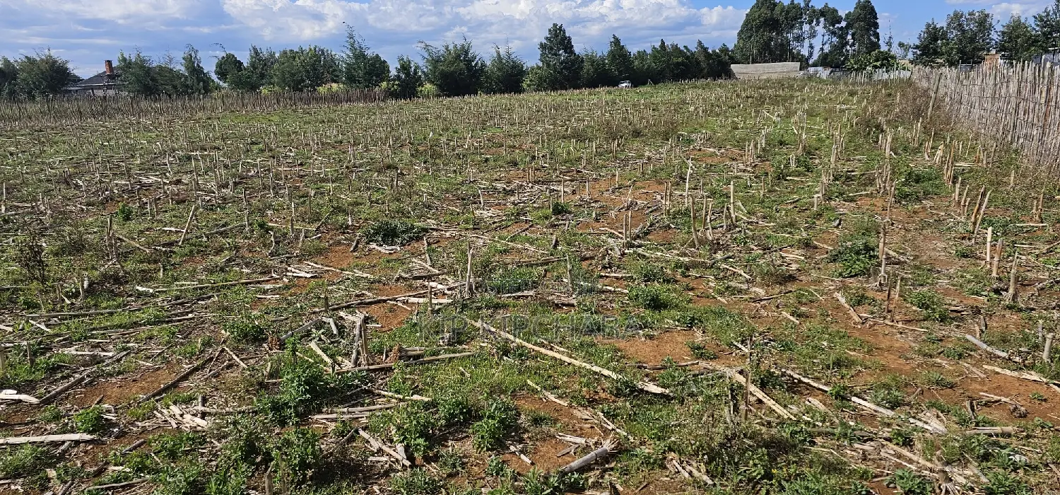 Prime Plots for Sale Eldoret Opposite New MTRH in Kiplombe