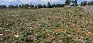 Prime Plots for Sale Eldoret Opposite New MTRH in Kiplombe