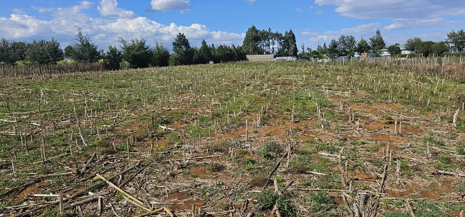 Prime Plots for Sale Eldoret Opposite New MTRH in Kiplombe