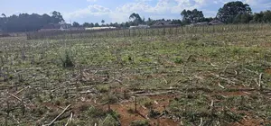 Prime Plots for Sale Eldoret Opposite New MTRH in Kiplombe