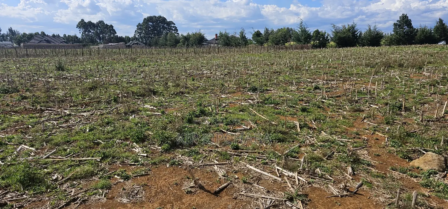 Prime Plots for Sale Eldoret Opposite New MTRH in Kiplombe