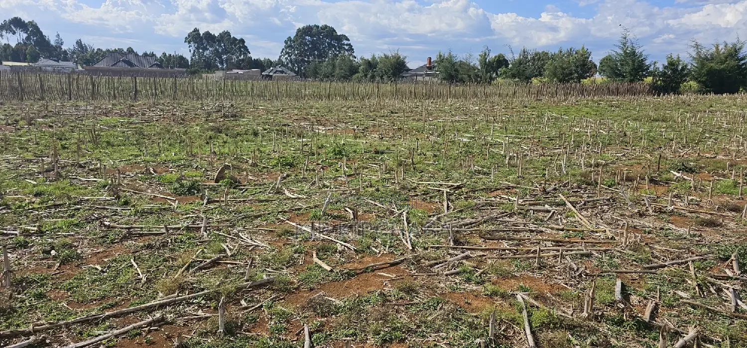 Prime Plots for Sale Eldoret Opposite New MTRH in Kiplombe