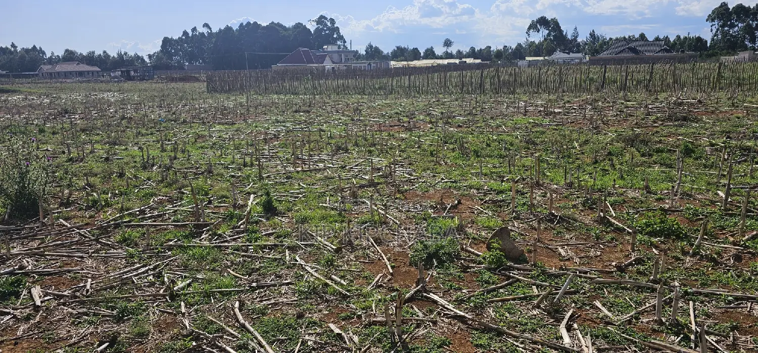 Prime Plots for Sale Eldoret Opposite New MTRH in Kiplombe