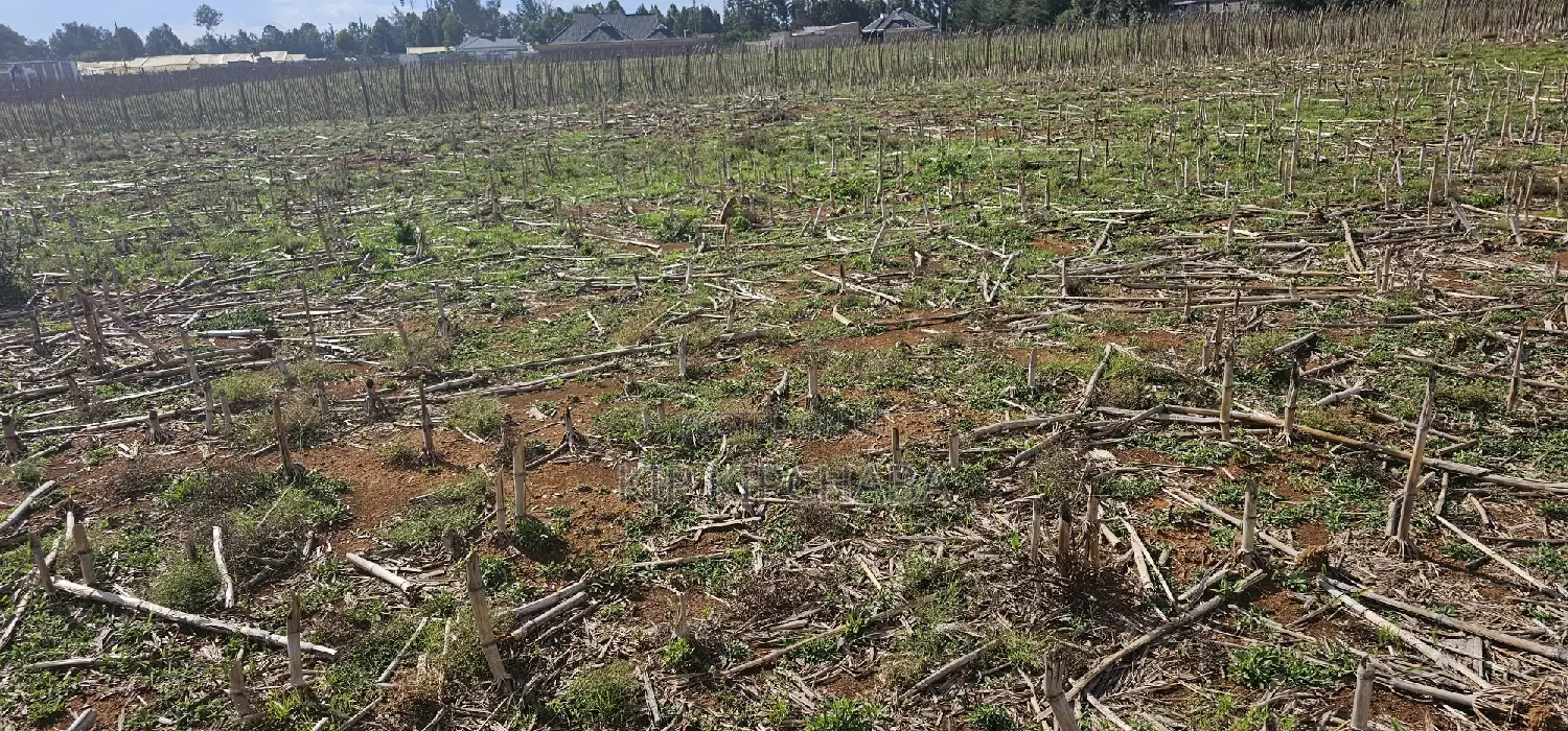 Prime Plots for Sale Eldoret Opposite New MTRH in Kiplombe