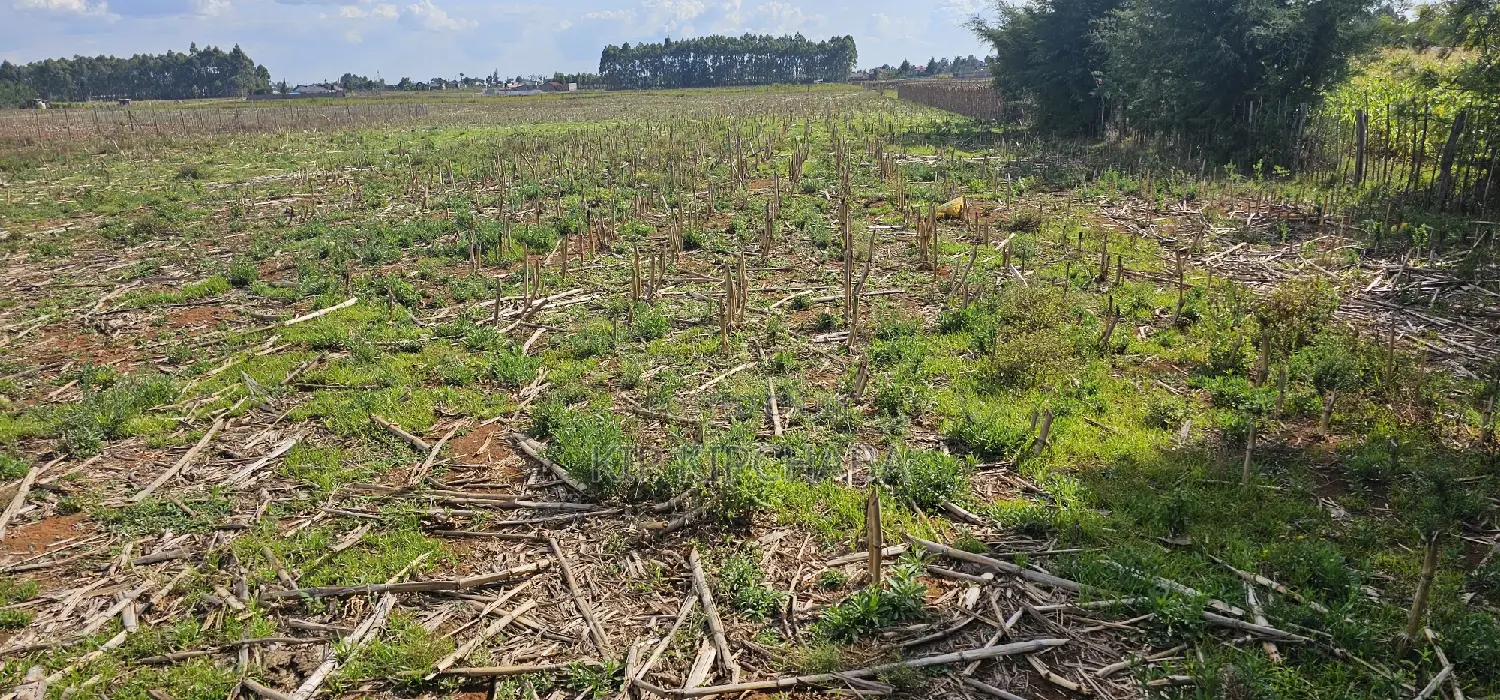 Prime Plots for Sale Eldoret Opposite New MTRH in Kiplombe