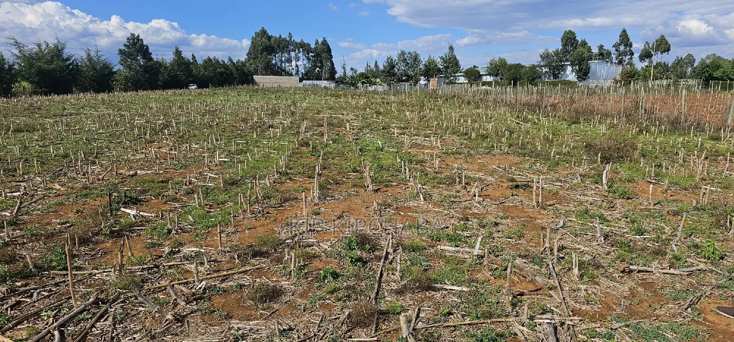 Prime Plots for Sale Eldoret Opposite New MTRH in Kiplombe