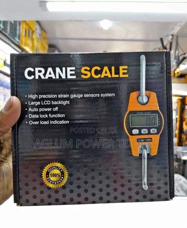 Professional Crane Scale 300kgs - main view