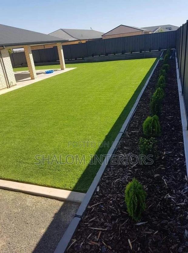 Turf Grass Turf Grass Turf Grass Turf Grass Turf Grass - main view