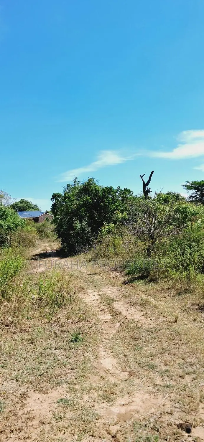 For Sale One Eighth Plots Kilifi Munarani