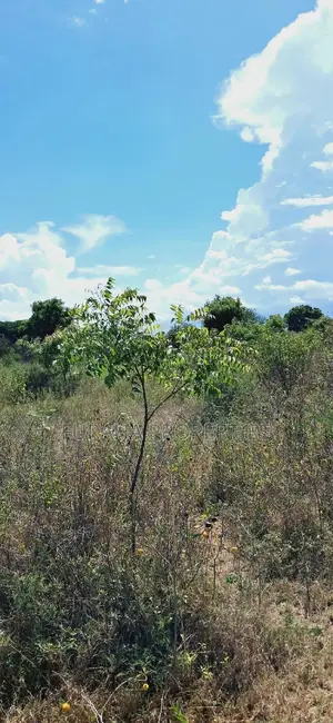 For Sale One Eighth Plots Kilifi Munarani